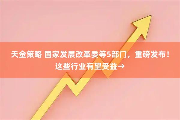 天金策略 国家发展改革委等5部门，重磅发布！这些行业有望受益→
