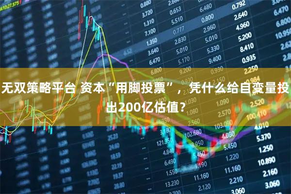 无双策略平台 资本“用脚投票”，凭什么给自变量投出200亿估值？